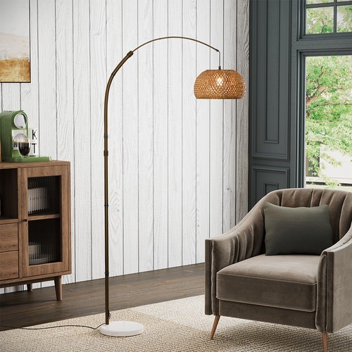Tall arched floor - lamp, domed